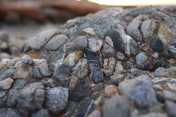 close up of a stone