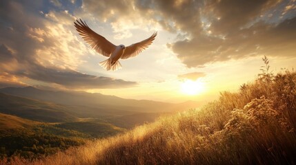 Fototapeta premium White Dove Soaring Above Golden Sunset Mountain Landscape