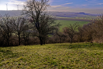 cold winter sunny morning in Bovaria