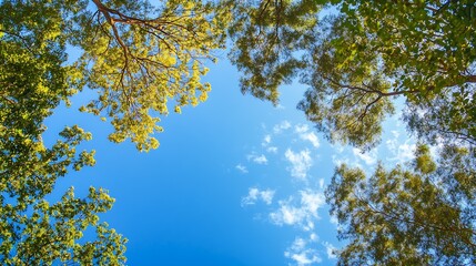 Obraz premium Green and Golden Tree Canopy with a Clear Sky Background : Generative AI