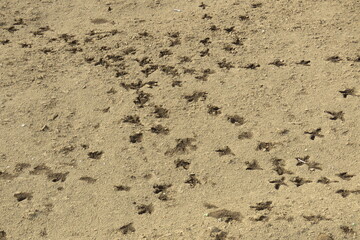 Ground-15