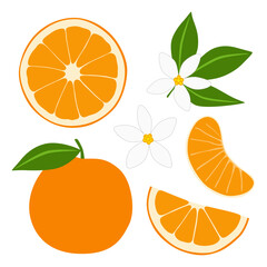 Orange Fruit Vectors Including Orange Slice, Wedge, Peeled, and Orange Blossom Flower with Leaf Foliage