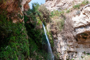 A waterfall is flowing down a rocky cliff