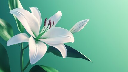 Naklejka premium Stunning white lily flower with green leaves on a vibrant green background in a minimalist style