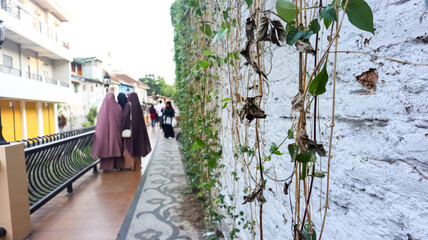 A textured white wall adorned with climbing vines, alongside a pedestrian walkway. People in the background are blurred to emphasize the foreground