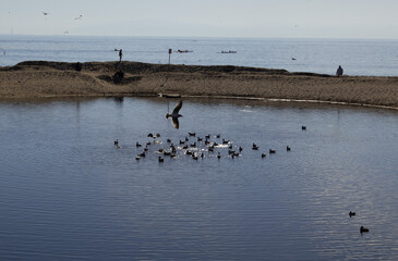 North California Beaches