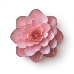 Fototapeta premium Beautiful pink flower on a white isolated background.