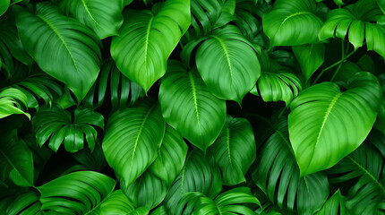  Lush green tropical leaves, perfect for backgrounds, nature-themed designs, or creating a vibrant and natural atmosphere.