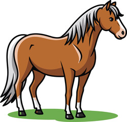 Obraz premium Adobe Illustrator Artwork