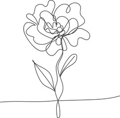 vector illustration of a flower