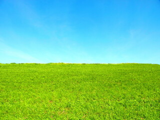除草された初夏の江戸川土手風景