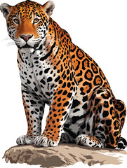 Obraz premium Adobe Illustrator Artwork