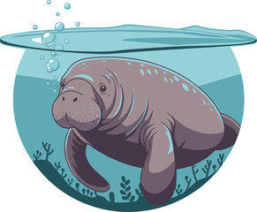 Adobe Illustrator Artwork