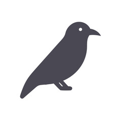 crow on a white background