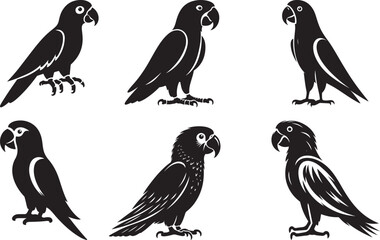 Simple black Parrot Silhouette vector illustration and Art
