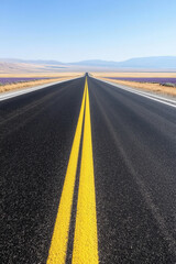 Obraz premium Endless Road to Horizon