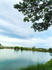 Beautiful natural scenery on the edge of a lake in the middle of the city with beautiful gardens, lakes and clear skies with white clouds.