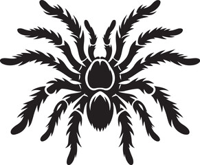 Tarantula silhouette vector, Tarantula illustration Design