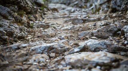 Photorealistic shot of a rugged stone path with natural details
