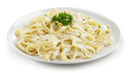Realistic and finely detailed shot of a plate of creamy Alfredo pasta
