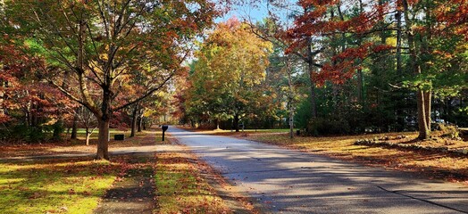 Indian Meadow Drive, a Cul De Sac - Middleborough, Massachusetts USA