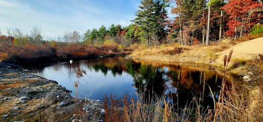Small pond in Middleboro by the cranberry bog