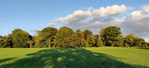 Open grass field at Manchester by the sea at Coolidge reservation
