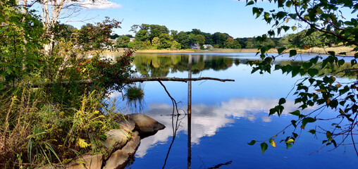 Pond by Coolidge reservation in Manchester by the sea