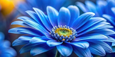 Blue flower close up with delicate petals and vibrant color, blue, flower, close up, detailed, macro, nature, vibrant, color