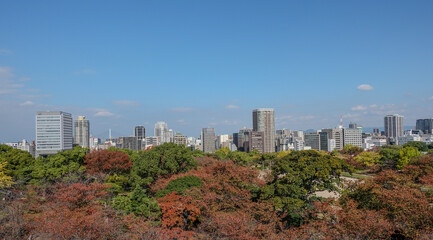 Obraz premium 【福岡】福岡城跡から見る街の風景