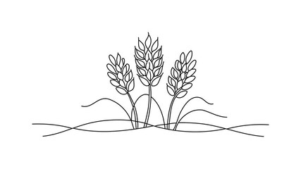Whole Grains Continuous line draw Full length single line animation
