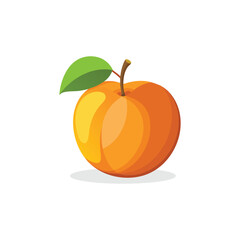  Apricot fruit isolated flat vector illustration on white background.