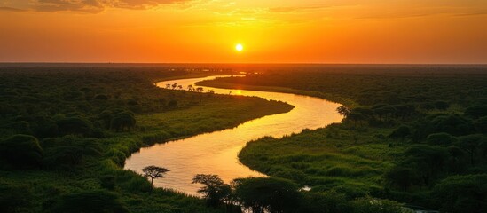 A winding river flows through a lush green forest as the sun sets in the distance, creating a breathtaking scene of natural beauty.