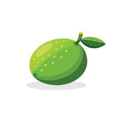 Lime fruit isolated flat vector illustration on white background