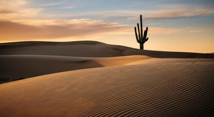 Vast desert at sunset with unique cactus and sand dunes