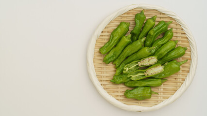 獅子唐辛子・シシトウ