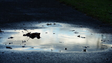 The reflection view from the water pool surface after the raining