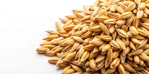 Close-up shot of a single oat with background, oat, grain, healthy, food, breakfast, ingredient, natural, organic