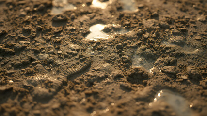 A close-up texture of muddy ground with footprints and water puddles reflecting light, hyper-detailed 8K