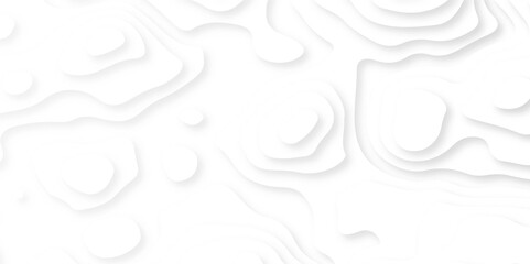 Abstract White Paper cut background. Modern 3d Paper cut background. topographic line contour map. paper texture design.