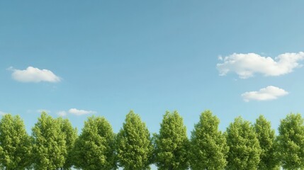Obraz premium Lush Green Trees Against a Clear Blue Sky with Fluffy White Clouds in a Bright Daylight Setting Ideal for Nature and Environmental Themes