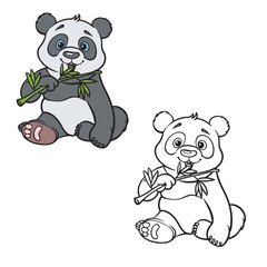 Panda bear. Drawing. Hand drawn. Cartoon. Outline. Color. Isolated on white background. Vector illustration