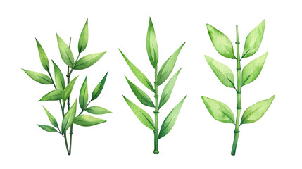 Fototapeta premium Three Varieties of Green Leaves Illustrating Natural Flora in a Fresh and Vibrant Style for Design or Decorative Use