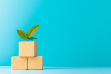 A small plant with two leaves grows from a stack of yellow blocks against a vibrant blue background, symbolizing growth and optimism.