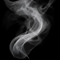 Fototapeta premium Unique Transparent Smoke Isolated in Black Background