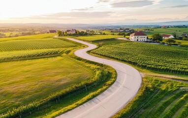 Scenic Aerial View of Winding Road Through Lush Green Landscape