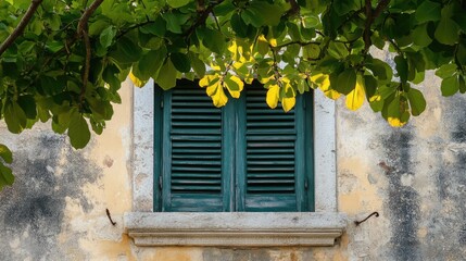 Historic building window framed by vibrant green leaves showcasing architectural charm and natural beauty