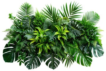 green plant isolated