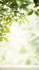 Obraz premium Sunlit Green Leaves and Bright Bokeh Background