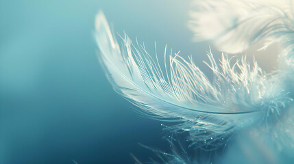Soft Blue Feather Illustration